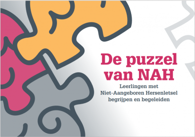 NIEUW BOEK!  De puzzel van NAH. Leerlingen met NAH begrijpen en begeleiden.