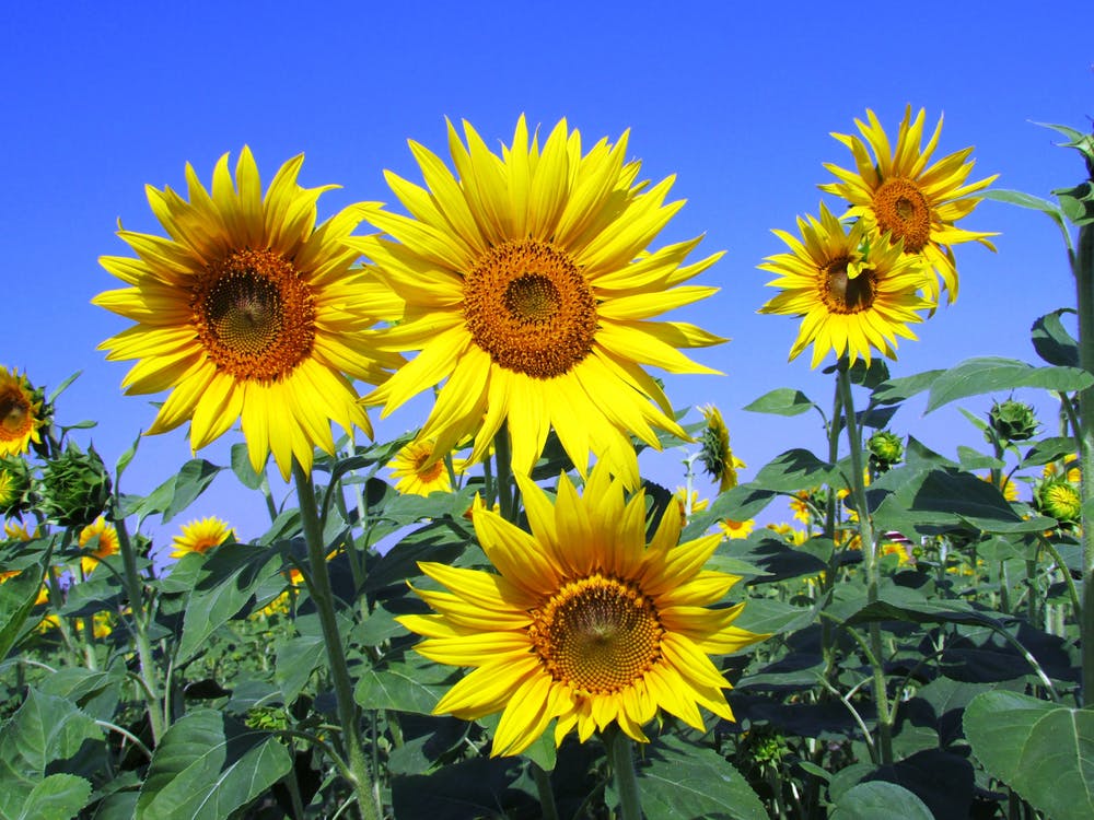 ALLEN een hele fijne zomer toegewenst!