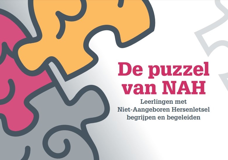 BOEK: De puzzel van NAH