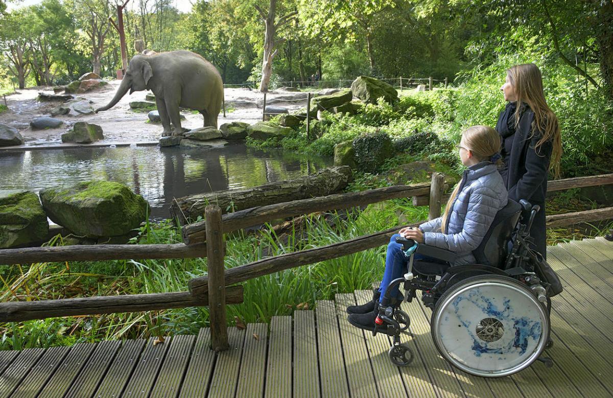 Capelle a/d IJssel: Ga jij mee naar Blijdorp!