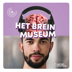 Het Breinmuseum! Een 3D audiotour door de hersenen