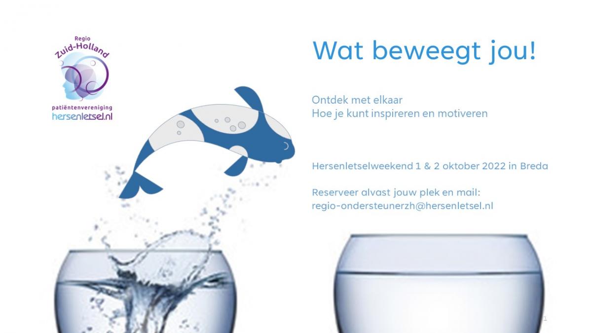 Hersenletsel.nl Zuid-Holland organiseert een lotgenotenweekend; Wat Beweegt Jou! GAAT NIET DOOR!!