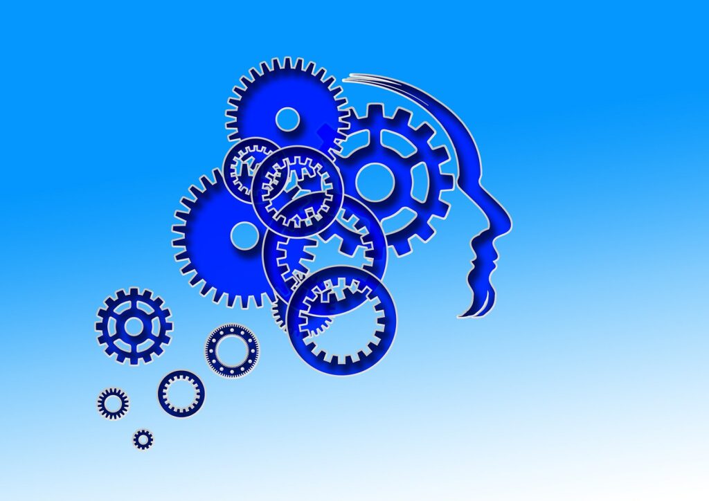 cognitive fx in nederland