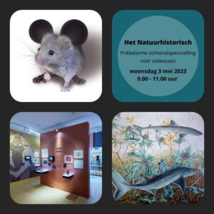 Rotterdam -Natuurhistorisch Museum Rotterdam prikkelarme ochtendopenstelling.