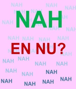 Lansingerland – Zingeving: Wat kan ik nog, wie ben ik nog na mijn hersenletsel.