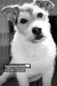 Monique | Dag lieve kleine vriend….