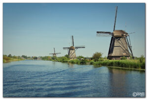 Zomerfeest naar Kinderdijk voor leden, ambassadeurs, vrijwilligers en naasten