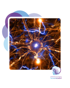 Brain Awareness Week 2026: hersenonderzoek op het allerkleinste niveau