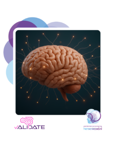 VALIDATE: Zorgen dat kunstmatige intelligentie (AI) veilig en effectief is bij de behandeling van een beroerte